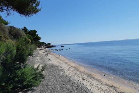 Wallpaper Beach arredamento della camera Free