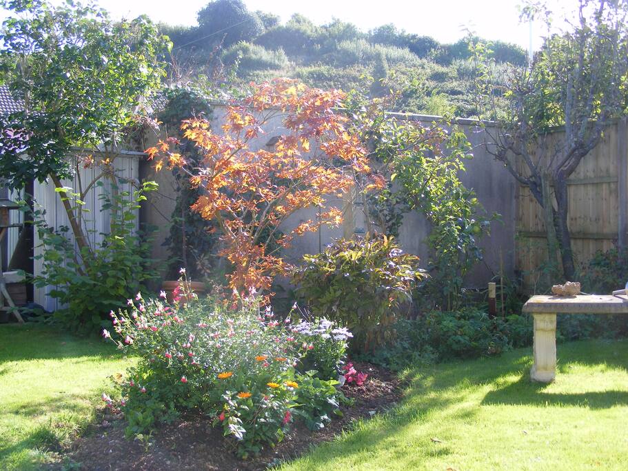 The Garden