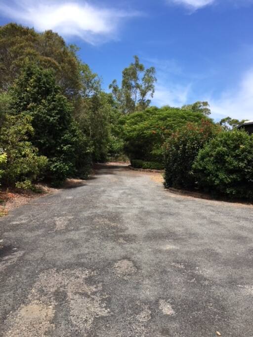 driveway to your cabin.