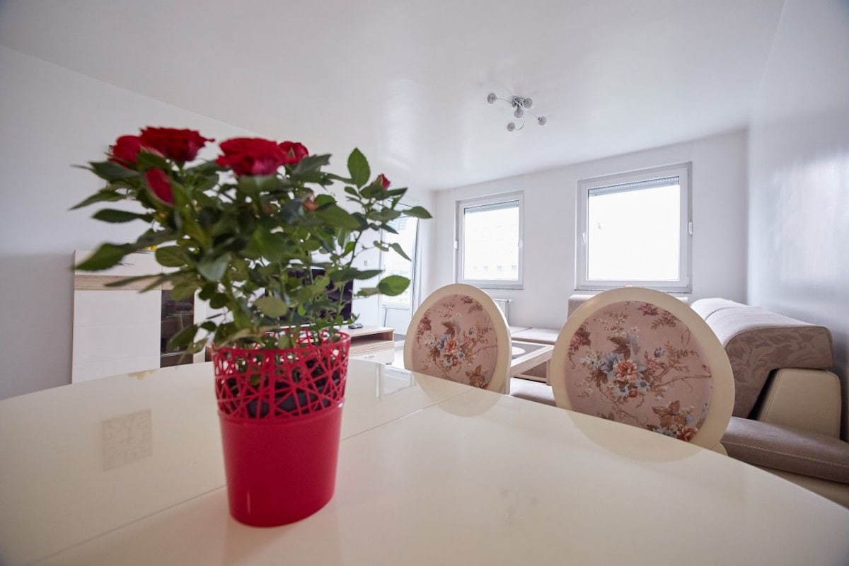 A dining area is highlighted by a vibrant red flower pot, featuring lush green leaves and red roses. Two elegantly styled chairs with floral designs frame the table, while bright windows allow natural light to fill the space, revealing a comfortable seating area in the background.