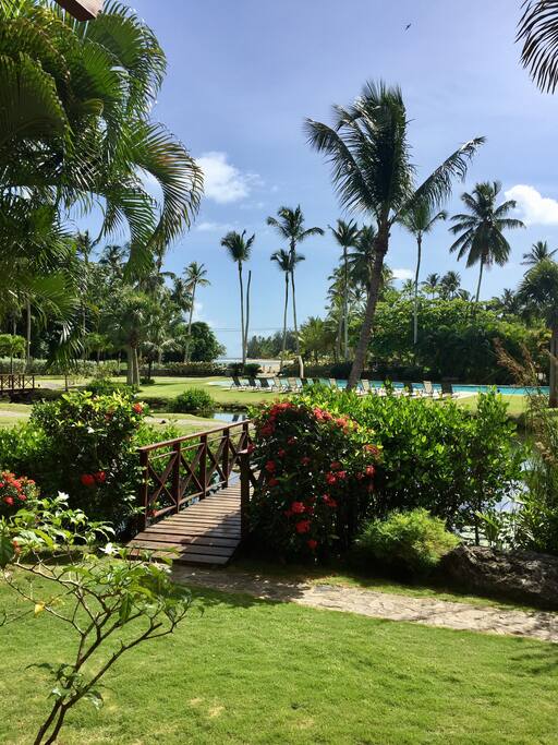View from the covered deck on main floor
