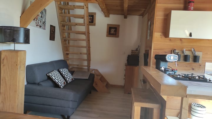 Petit Chalet Cosy Entre Lac Et Montagne - Veyrier-du-Lac