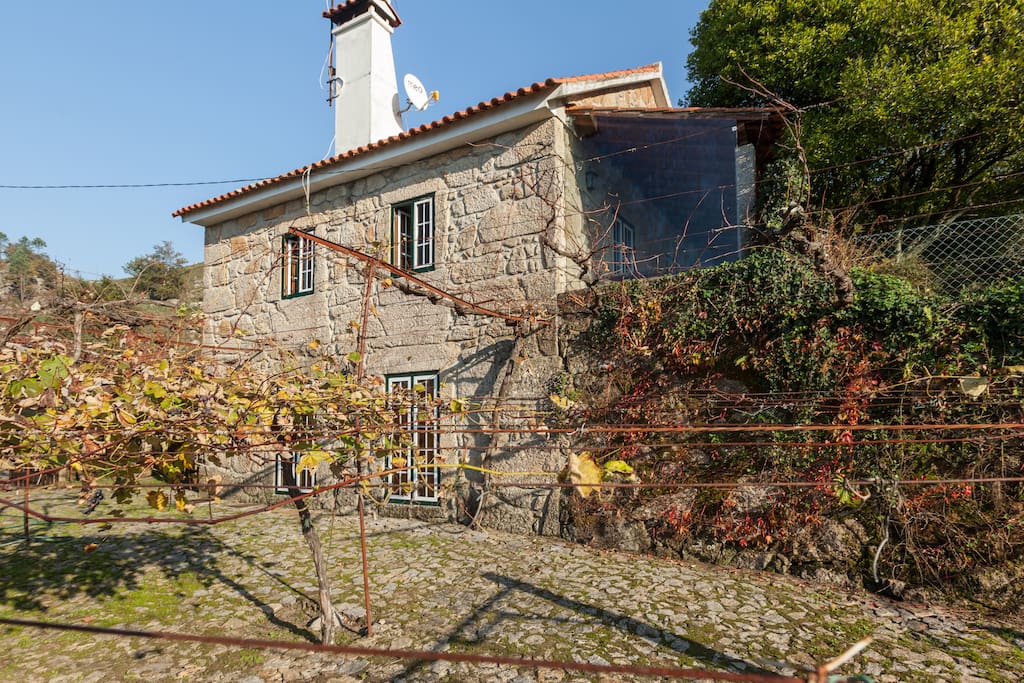 2 quartos ao nivel da ramada_2 rooms level to traditional vine-yard