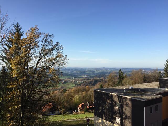 FeWo in FREYUNG in the heart of bayr forest