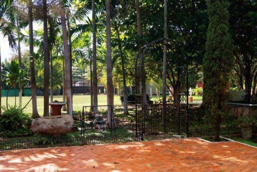 Terraza Casa Principal