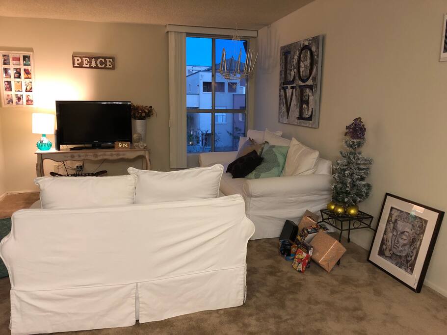 Another Living Room Shot