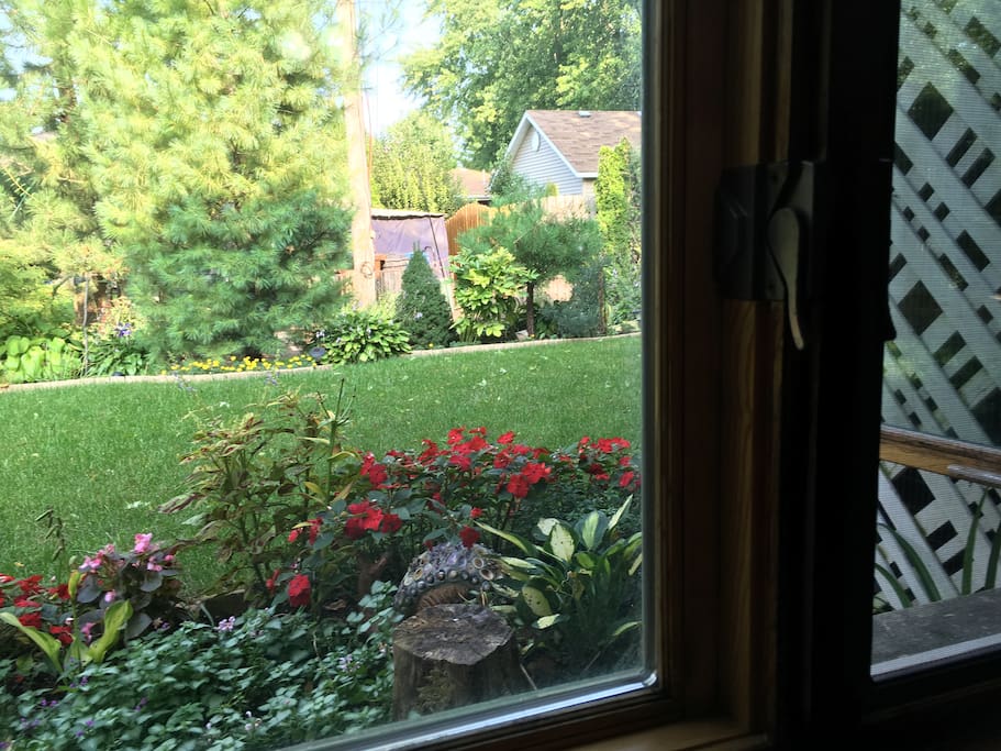 View of garden from Garden Room