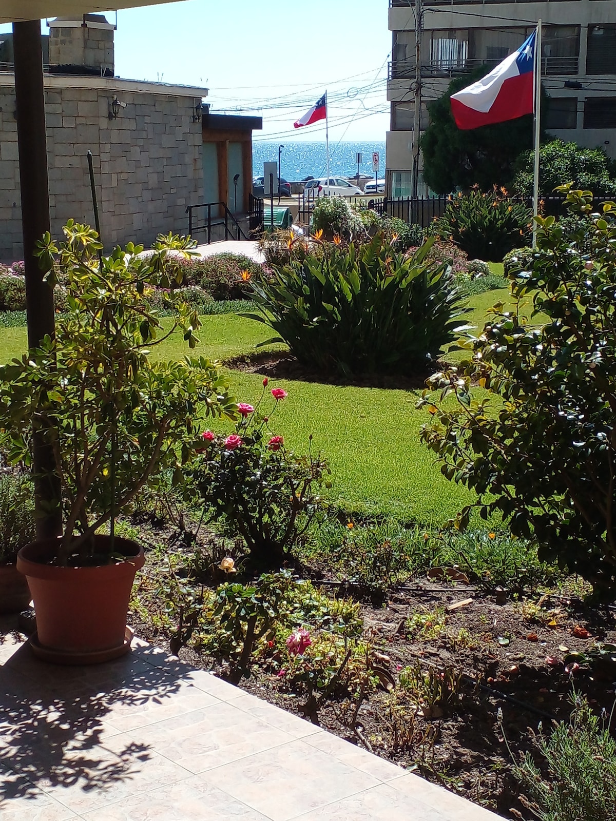 A well-maintained garden features blooming roses and lush greenery, with vibrant plants arranged in various spots. A clear view of the ocean is visible in the background, complemented by Chilean flags fluttering softly on nearby buildings.