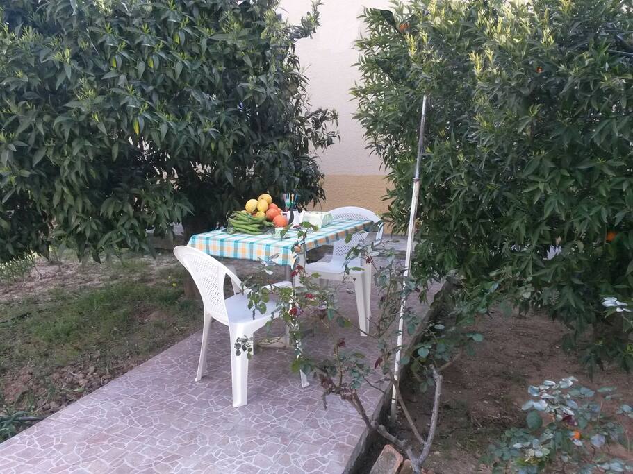 Tavolo in giardino