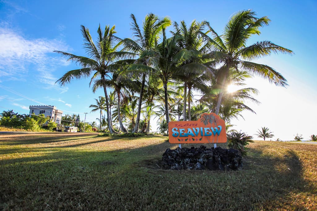 Aloha!