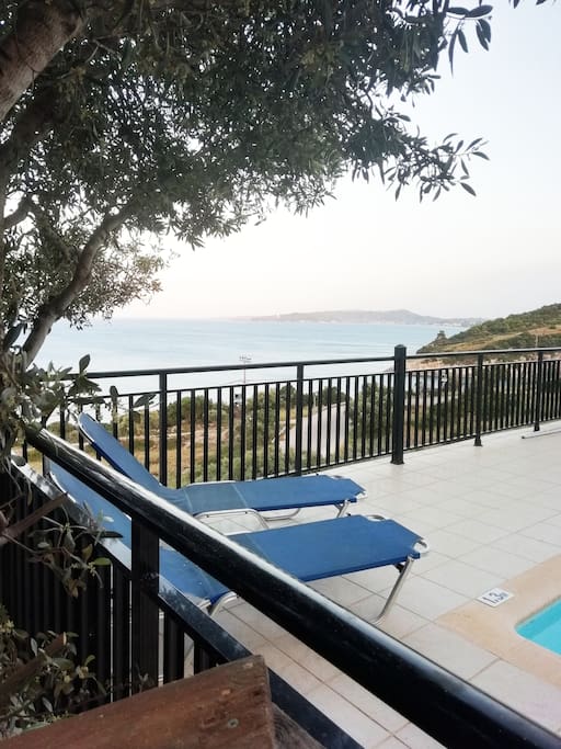 Relax Under The Olive Tree By The Pool