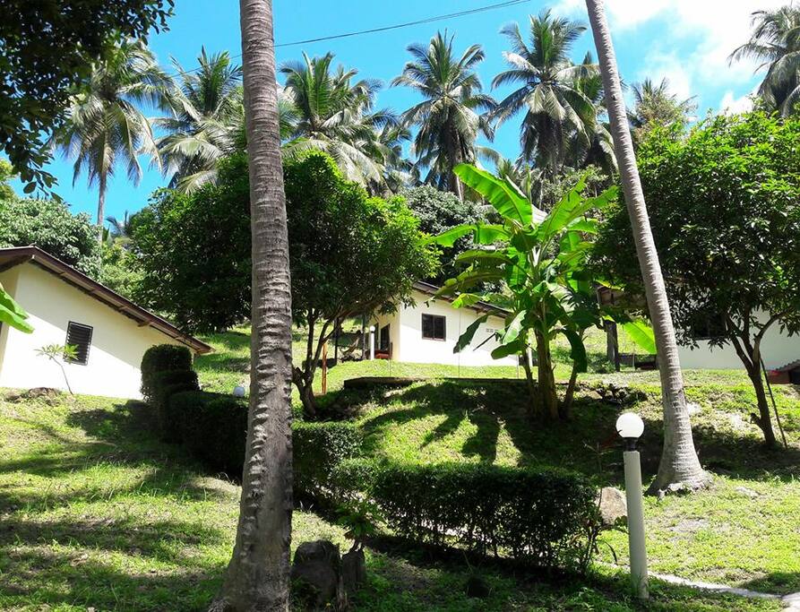 Bungalows