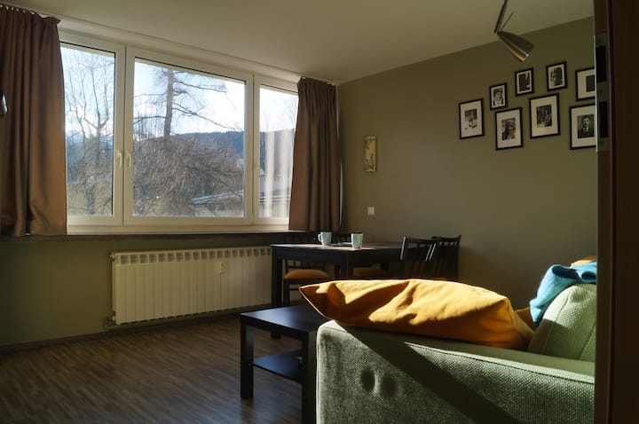 всекидневна със сгъваем диван