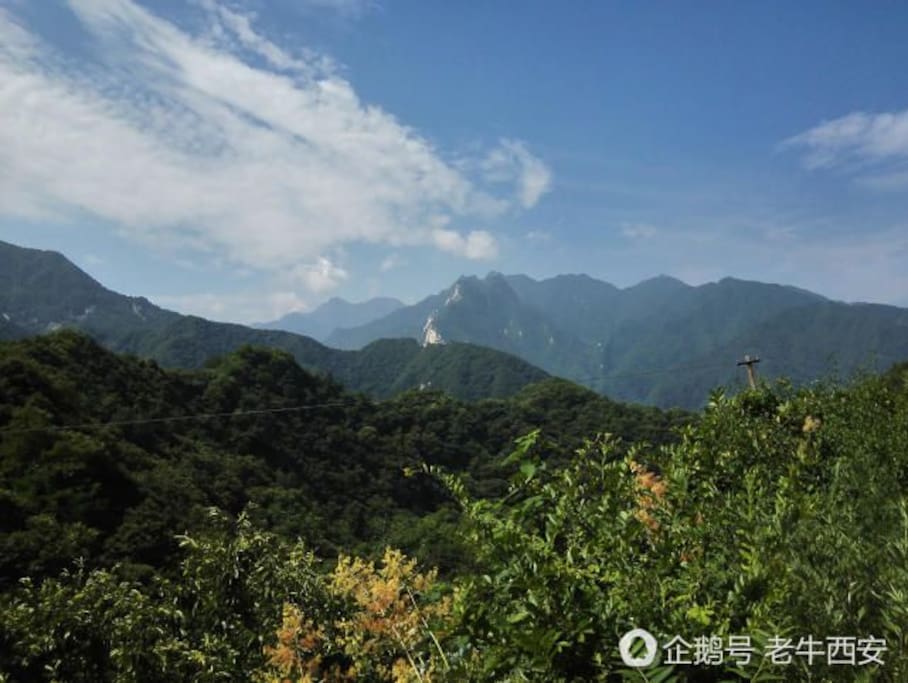 景色