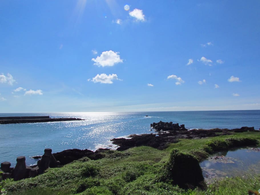 前院的海景