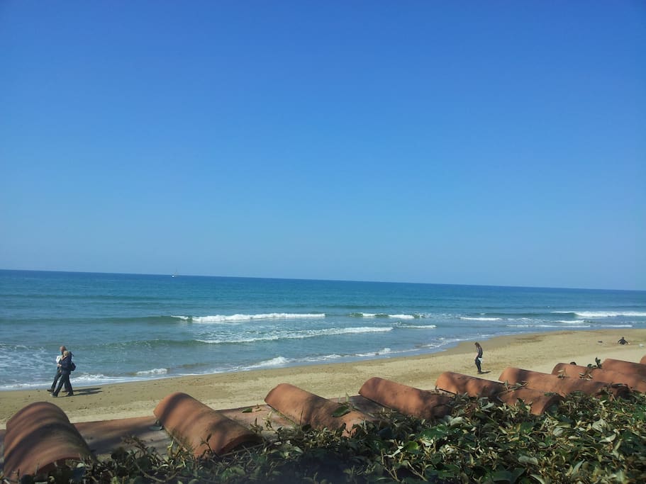 the beach
