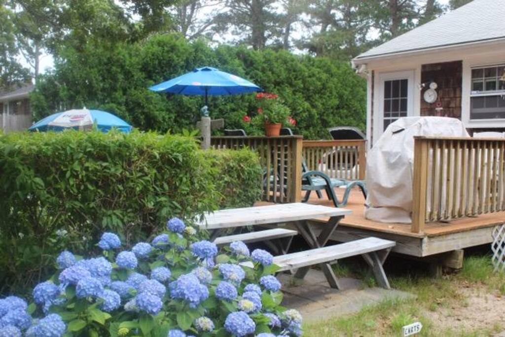 deck, patio and large backyard