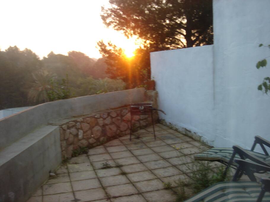 Terraza