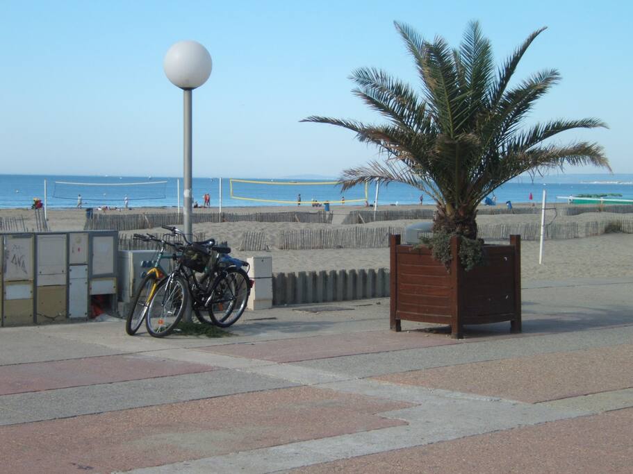 promenade le long de la plage