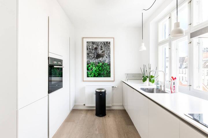 Dinesen Collection Condo by Royal Theatre gallery image 5