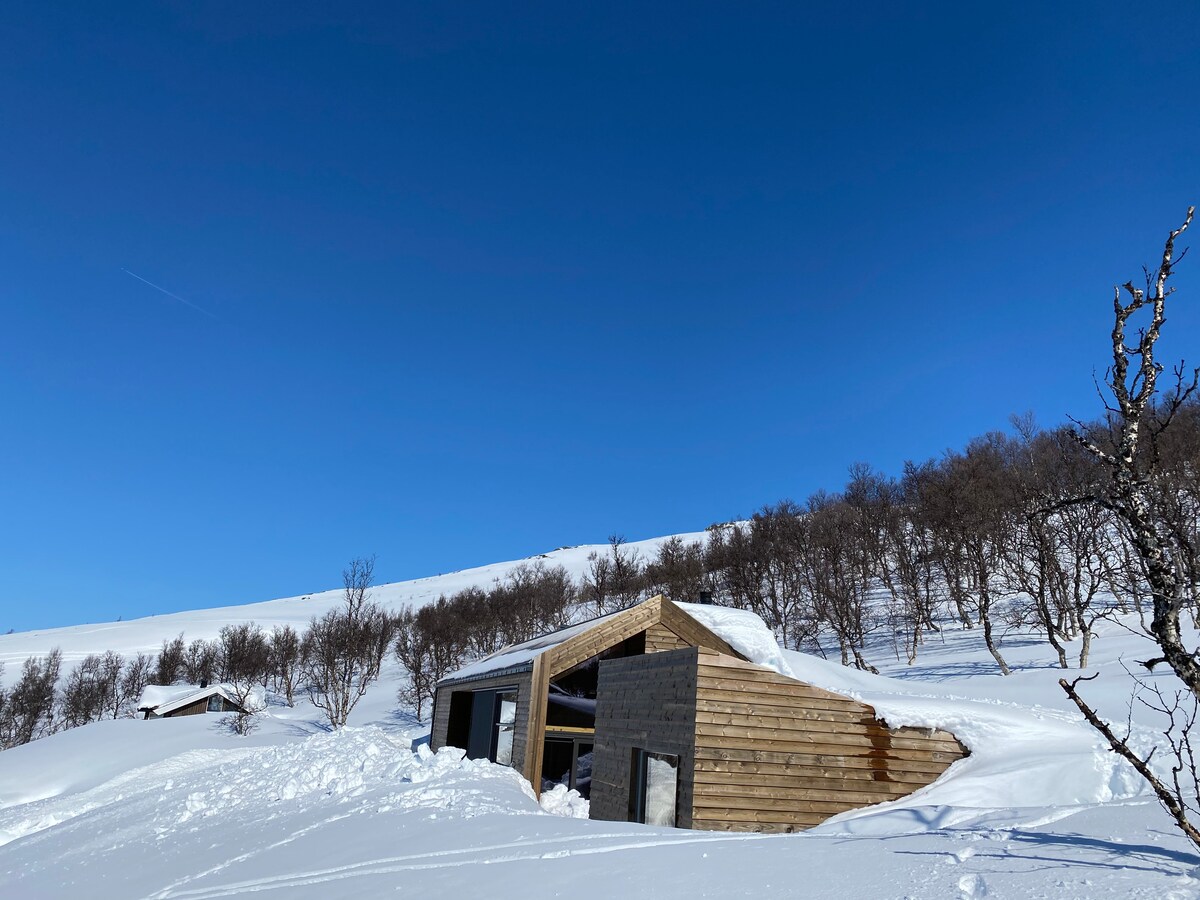 A modern cabin is nestled in a snowy landscape, surrounded by rolling hills and sparse trees. The structure features a wooden facade and large windows, partially buried in snow. A clear blue sky stretches overhead, creating a serene backdrop for the mountain retreat.