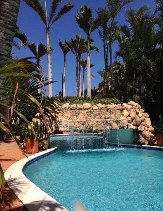What an OASIS!