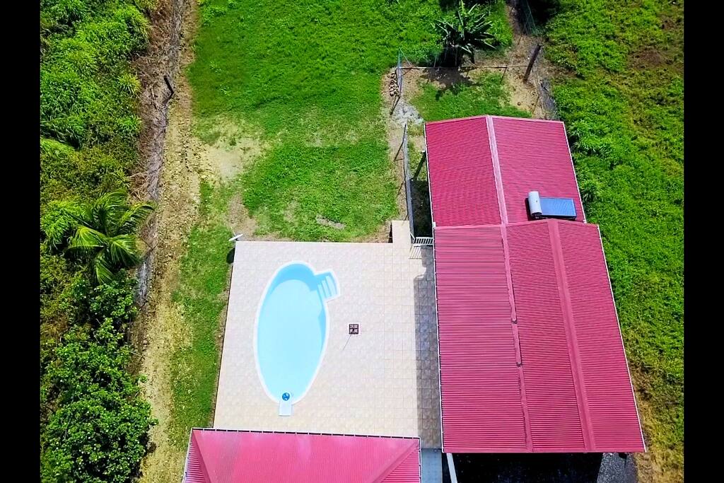 Bird view