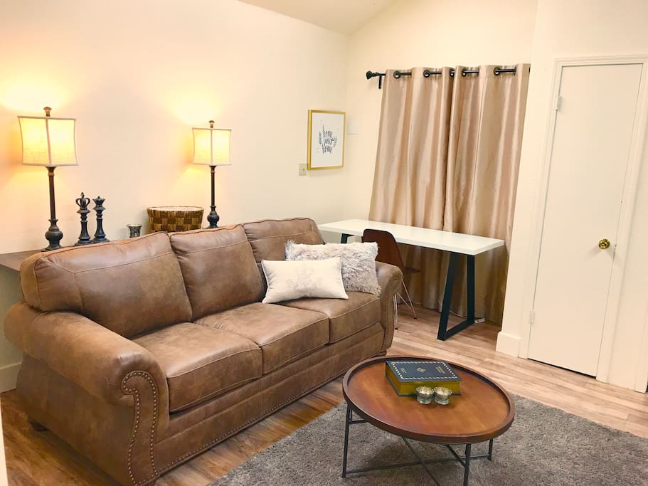 Living room area, sleeper sofa:)