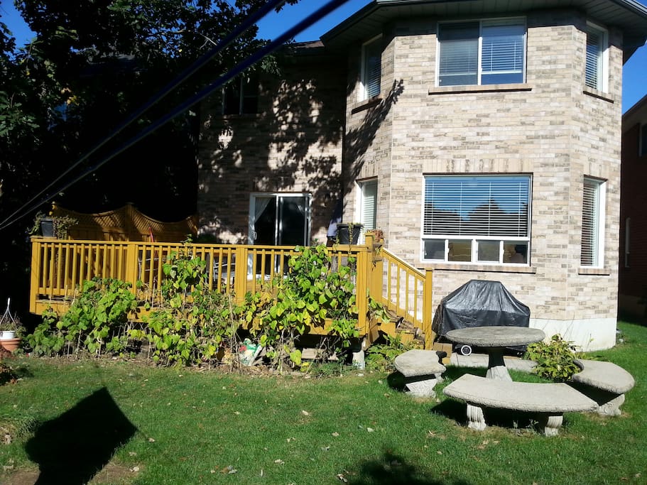 Backyard and BBQ