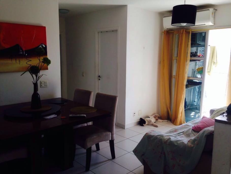Sala. ps: o cachorro não vai junto com o ap! rs