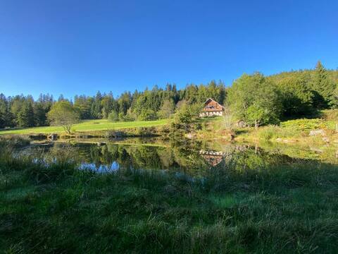 Holiday home secluded natural lake in the middle of the Bavarian Forest