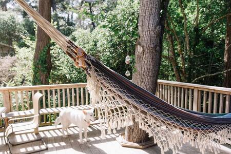 Monthly Town & Forest Room