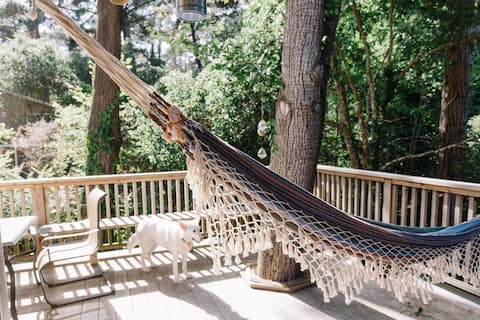 Monthly Town & Forest Room