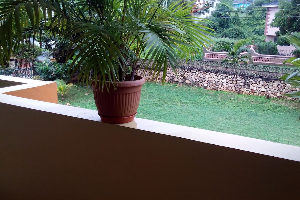 Front Yard from Balcony