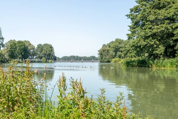 Beautiful big house with lake view gallery image 2