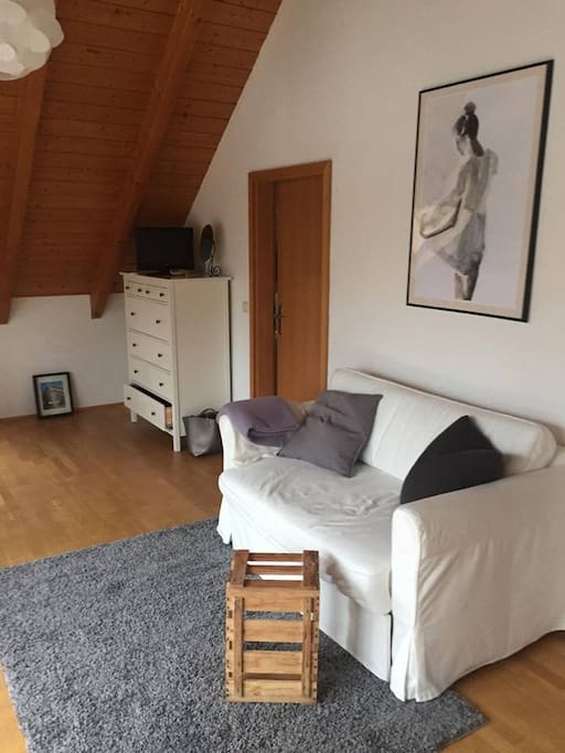 Wohnzimmer mit Schlafsofa und Blick auf Balkon