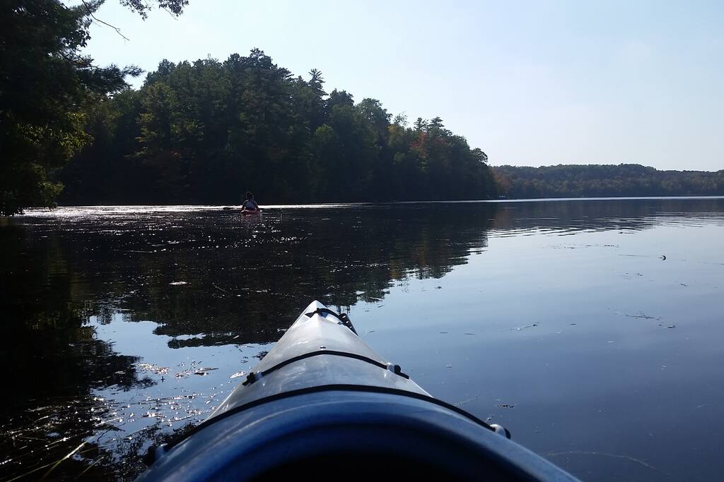 great fishing & kayaking near by (kayak rental available)
