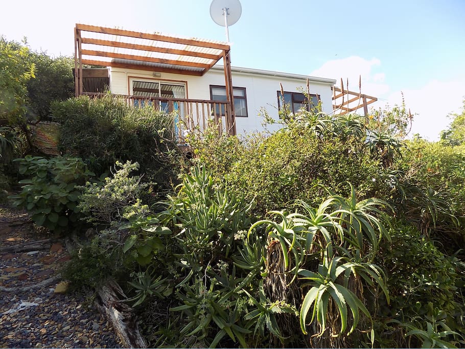 Ocean Escape Cottage