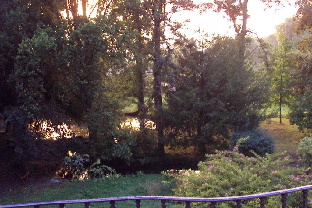le parc vu du balcon