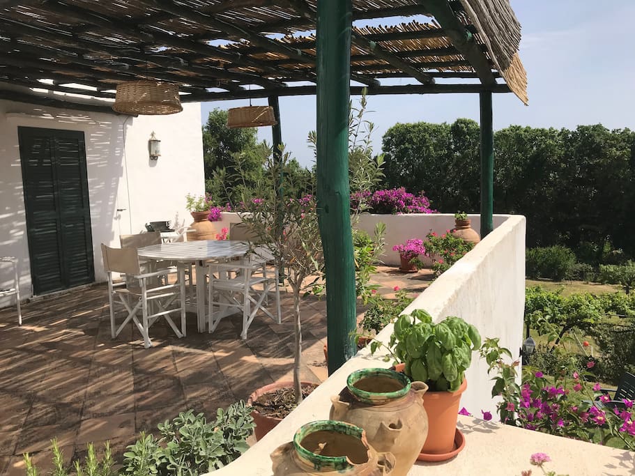 la terrazza