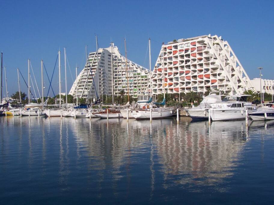 Appartement Grande Motte Location Appartement Grande Motte Location
