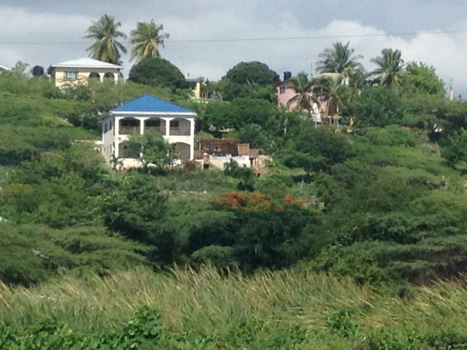 View of Serendipity from the pond below the house.