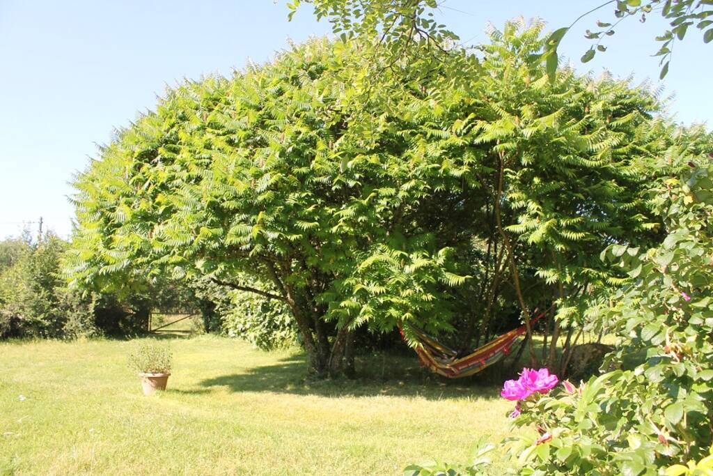 Jardin