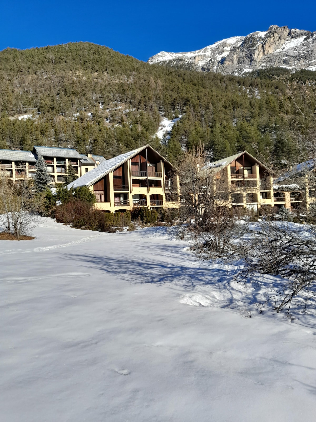 A charming mountain residence is depicted, featuring distinctive A-frame architecture. Surrounded by snow-covered grounds, the building showcases large windows and balconies overlooking the serene landscape of trees and distant mountains under a clear blue sky.