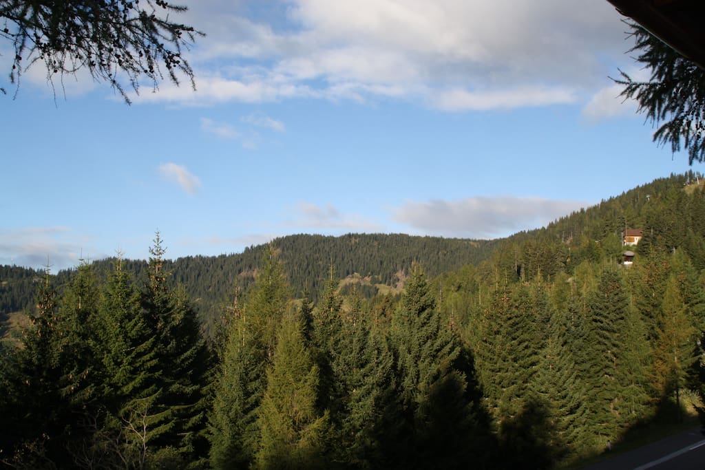 view from the living area