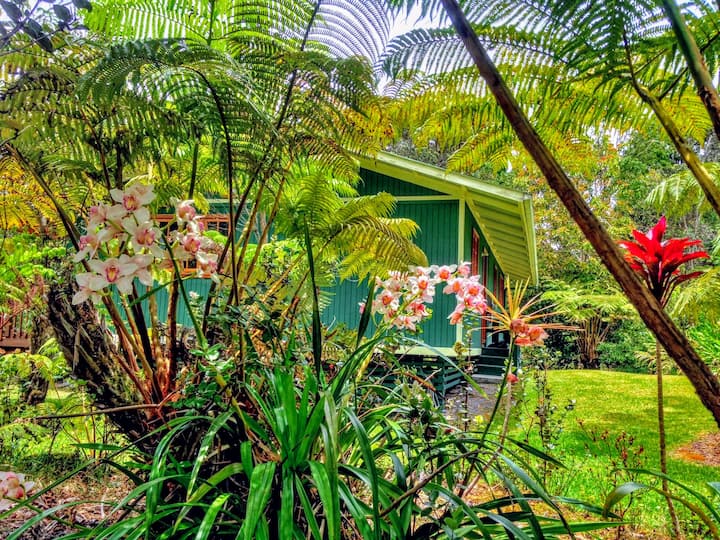 Haunani House in Volcano Village Houses for Rent in Volcano, Hawaii