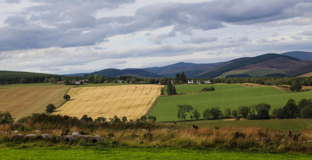 alyth bike park