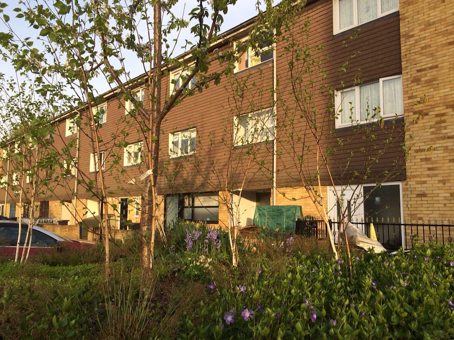 3- storey, terraced house