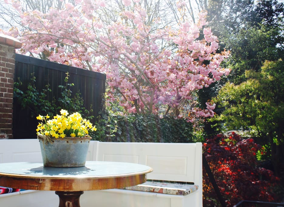 Sunny terras, all day!
