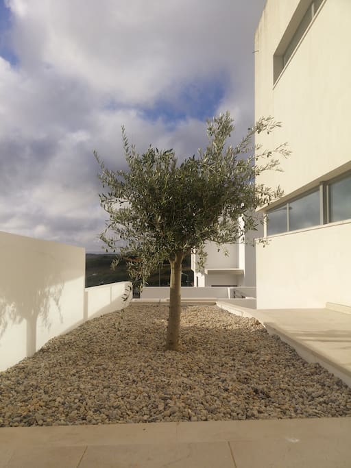 Front of the house